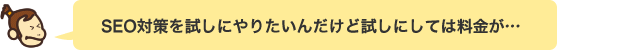 SEO対策を試しにやりたいんだけど試しにしては料金が…