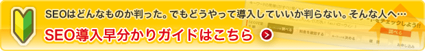 SEO導入早分かりガイドはこちら